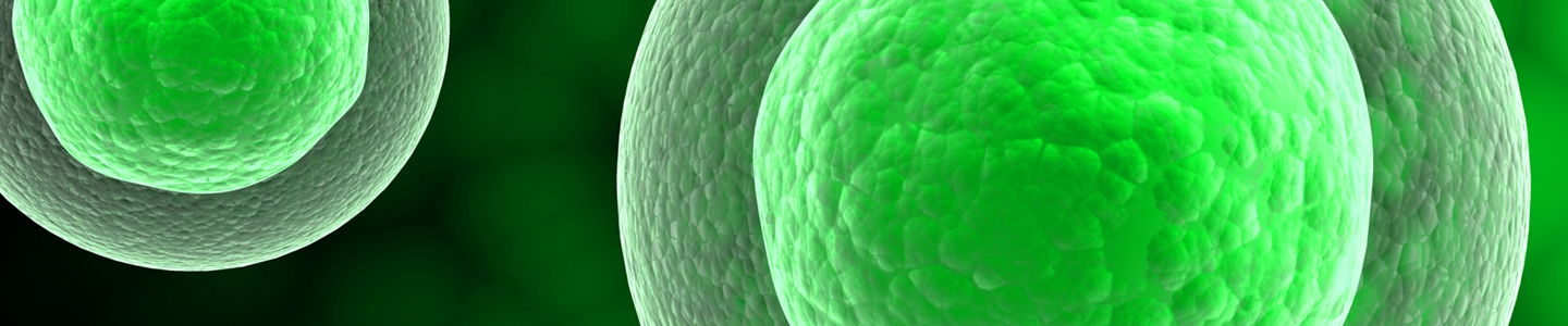 3d cell with nucleus.