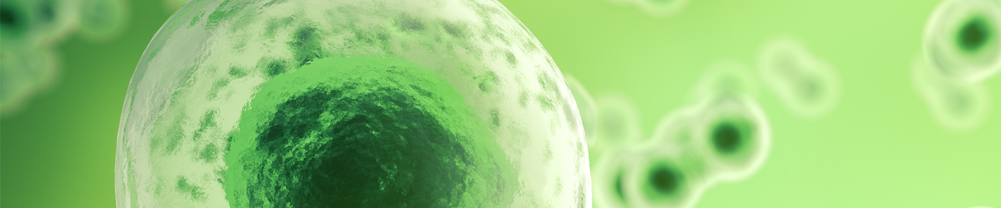 Green cell nucleus.
