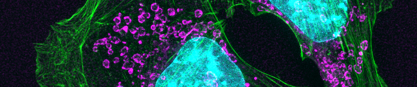 Animal Cell Culture Guide | ATCC Animal Cell Culture Guide | ATCC