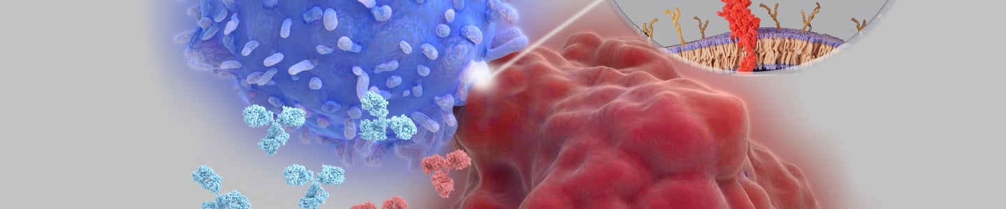 immune checkpoint inhibitors