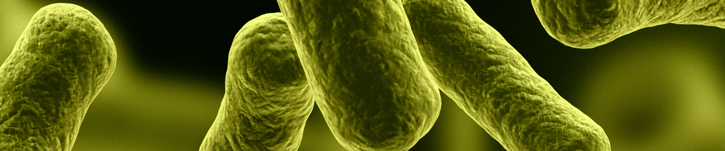 Floating rods of lime green and black bacteria.