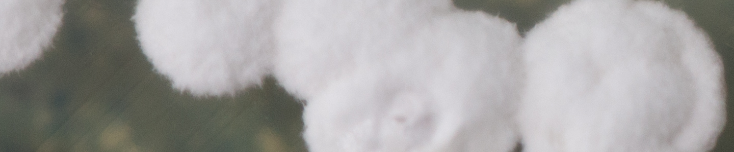 White, dry, fuzzy, clusters of bacteria.