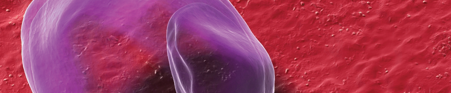 Transparent bubble of Chlamydia bacteria.