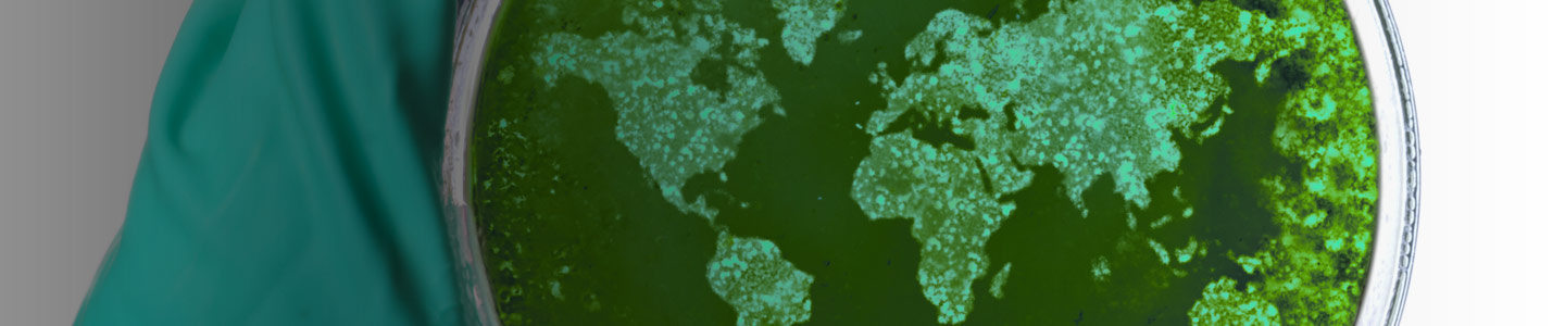 Gloved hand holding a petri dish containing green particles in the shape of the world's continents. 