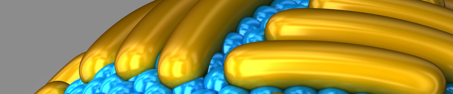 Outer layer of the Zika virus rendering showing gold rods embedded into blue beads.