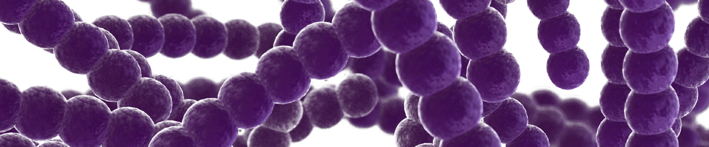 Strings of round, purple, pear-like bacteria.