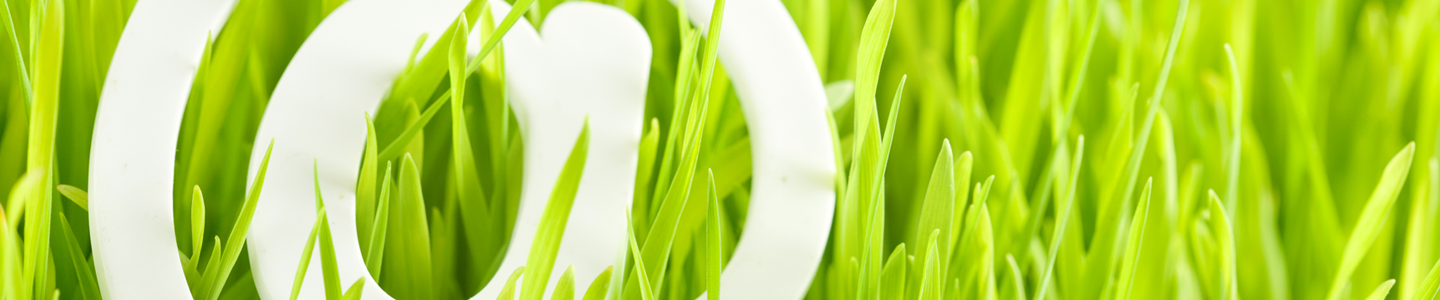 A white at symbol in bright green grass.
