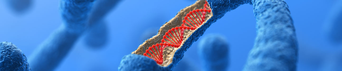 Blue floating rods, including one section cut out to show a red double helix inside.