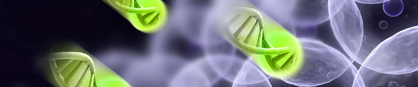 Small portion of DNA helix in neon green balls pointed towards purple cells.