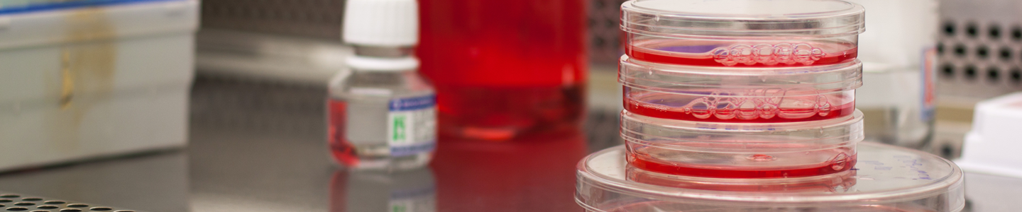 Flasks, bottles, and petri dishes, containing various amounts of red media and reagents, on metal shelf in cabinet.