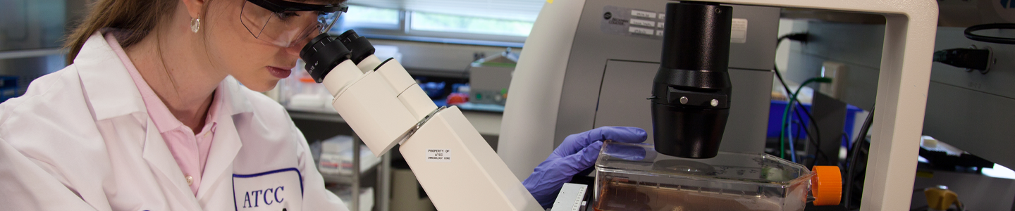 Female ATCC scientist in lab coat, safety glasses, and gloves, looking at media in a flask using an inverted microscope.