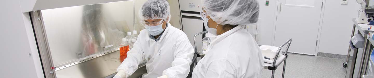 Two scientists in lab wearing hair nets, masks, safety glasses, smock, and gloves standing next to safety hood and looking at bottles containing red medium.