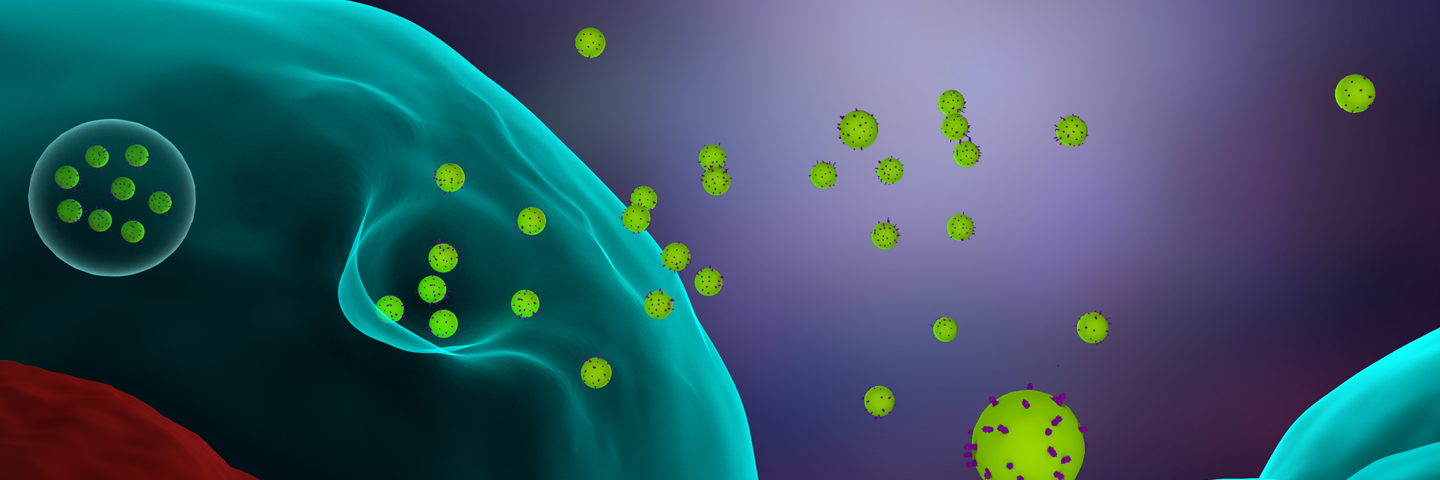 Large green sphere releasing several small green exosome spheres. Illustration.