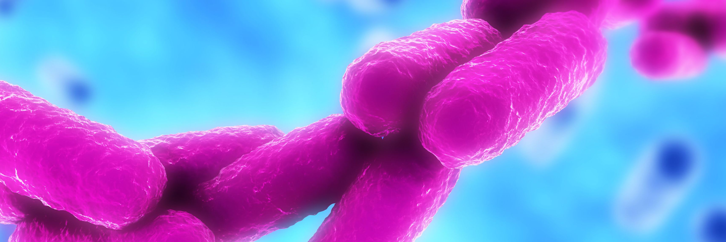 Fluorescent pink rod-shaped bacteria clustered in a string with a sky-blue background.