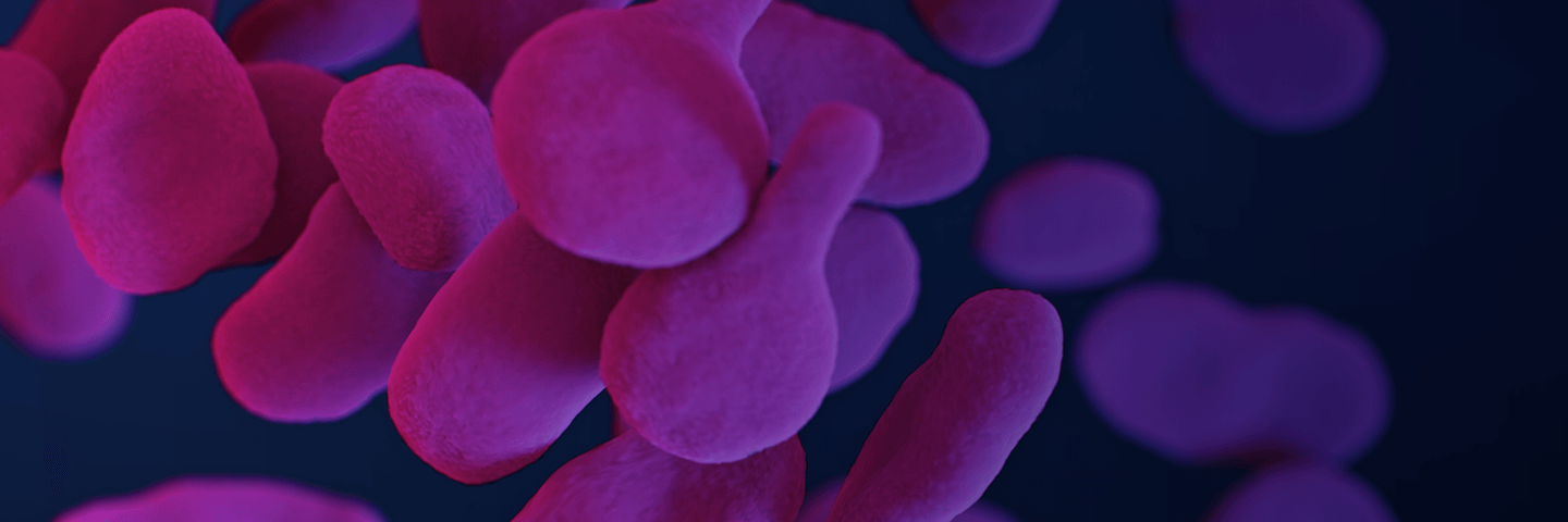 Small, bright pink flat, paddle-shaped Mycoplasma genitalium bacteria.