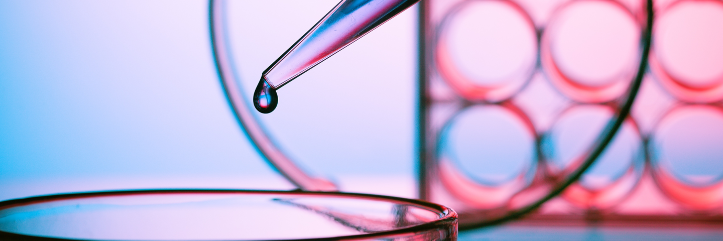 Pipette dropping clear media into cells well plate; 24 well plate in background.