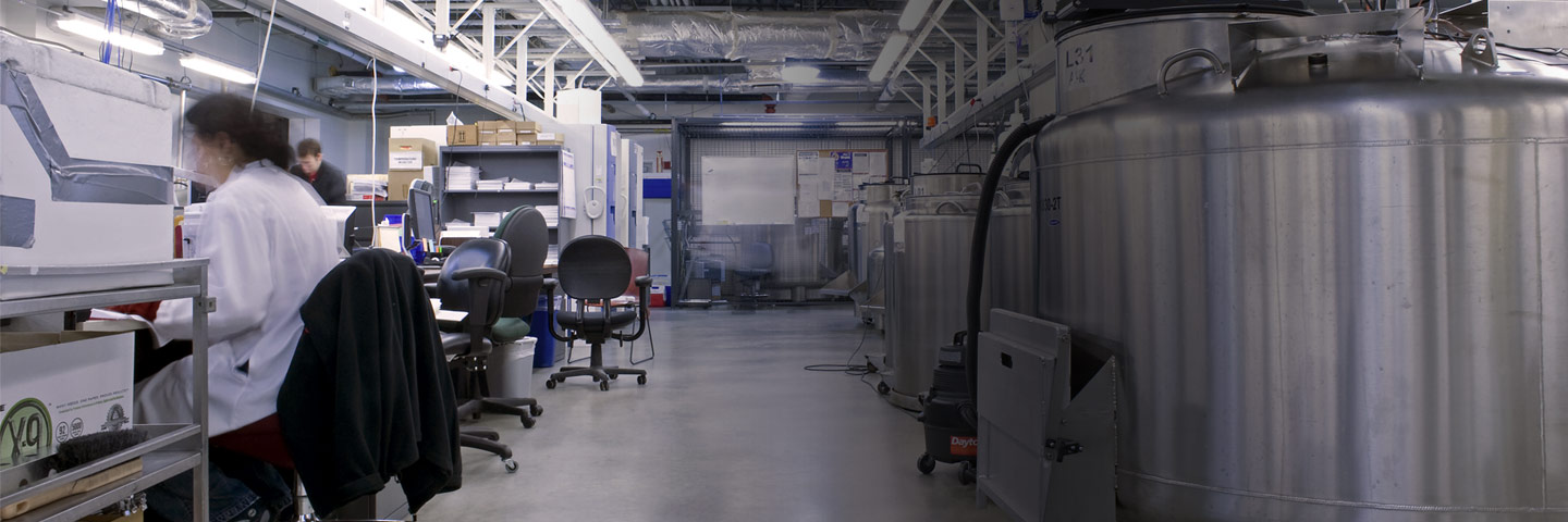 Scientist sitting at work station in large room of cryopreservation storage tanks at biorepository.