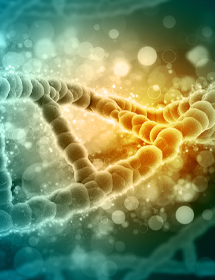 DNA helix made of green and yellow puffy balls.