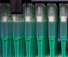 Rows of pipettes filled with green liquid.