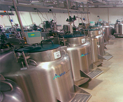 Large room full of liquid nitrogen cryopreservation tanks at biorepository.