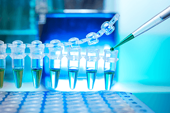 research in action, scientists, sample, petri dishes, dispenser, pipette, microscope, glove, hand, tray