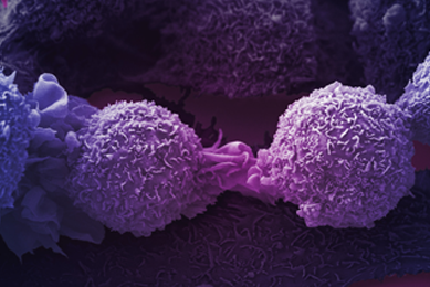 Round, textured, purple lung cancer cells on a dark background. 