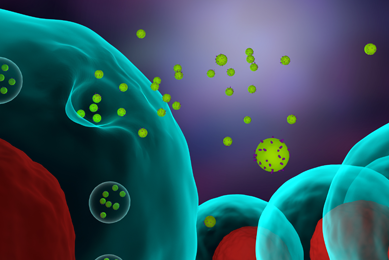 Large green sphere releasing several small green exosome spheres. Illustration.