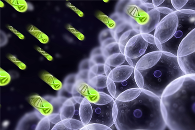 Green and purple double helix DNA.