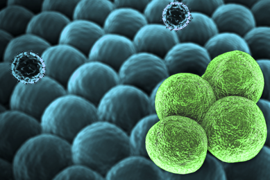 T-lymphocytes cancer cell.