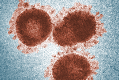 Coronavirus cells.