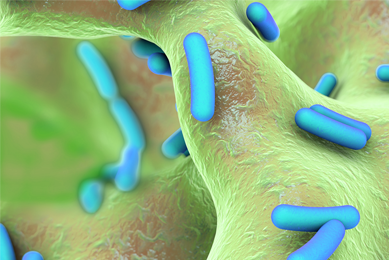 Green and blue rod shaped bacteria.