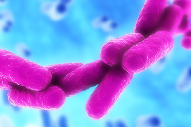 Fluorescent pink rod-shaped bacteria clustered in a string with a sky-blue background.