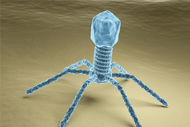 Iridescent blue bacteriophage with six spider-like legs.
