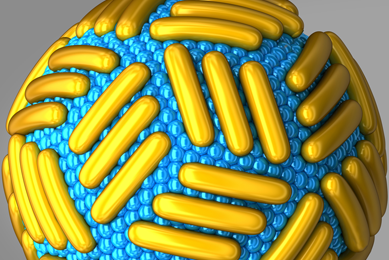Outer layer of the Zika virus rendering showing gold rods embedded into blue beads.