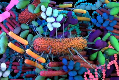 Microbiome image CGI
