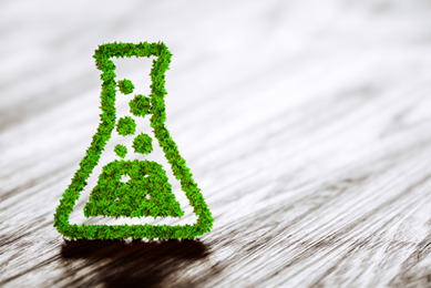 Illustration of a flask with media in it made up of tiny green plants, standing up on a wooden table.