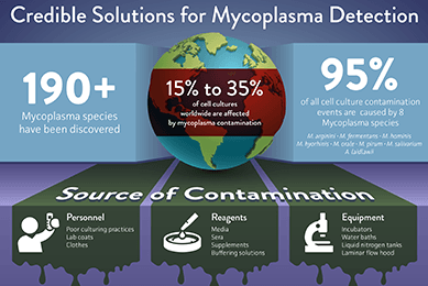 Infographic titled Credible Solutions for Mycoplasma Detection, with statistics and sources.
