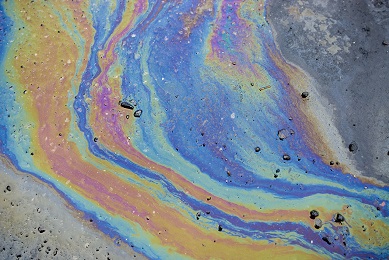 Oil slick, bioremediation