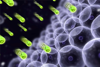 Small portion of DNA helix in neon green balls pointed towards purple cells.