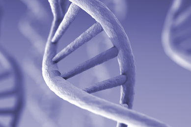 Light purple DNA strand.