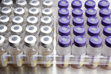 Rows of vials sealed with silver and purple caps.
