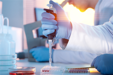 Gloved hand using a pipette to drop clear red media into a well plate next to a petri dish.