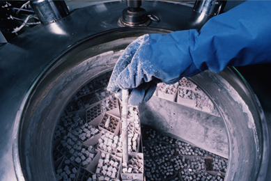 Gloved hand covered in ice, holding frozen vial, above cryopreservation tank filled with boxes of frozen vials.