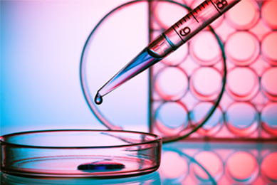 Pipette dropping clear media into cells well plate; 24 well plate in background.