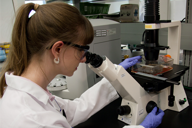 Female ATCC scientist in lab coat, safety glasses, and gloves, looking at media in a flask using an inverted microscope.