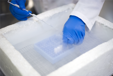 Gloved hands on tray of vials, in vapor in cryopreservation container.