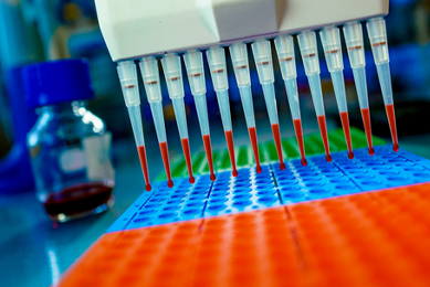 Red tipped multi-channel pipettor above multicolored well plates.