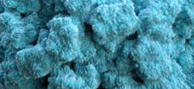 A light-blue, textured sphere of norovirus.