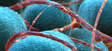 Closeup of teal-blue Escherichia coli balls covered in red yard-like strings.