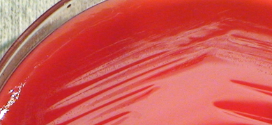 Petri dish of red blood agar with black shadowy figures.